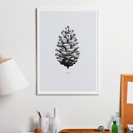 Nature 1:1 Pine Cone Poster Paper Collective