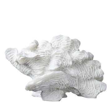 Mette Ditmer - Coral Decorative object